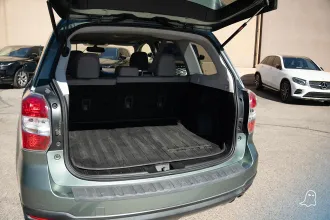 Forester 23