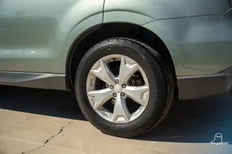 Forester 10