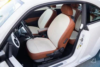 Beetle 15