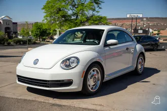 Beetle 12