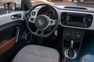 Beetle 20