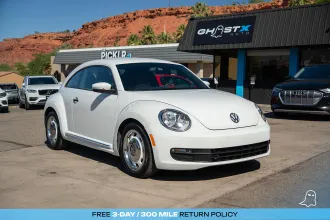 Beetle 1