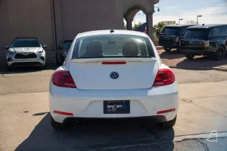 Beetle 7