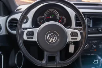 Beetle 21