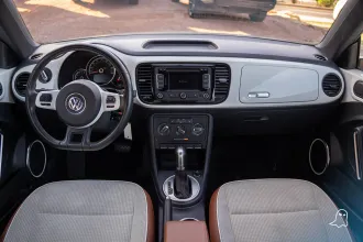 Beetle 19