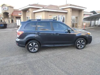 Forester 8