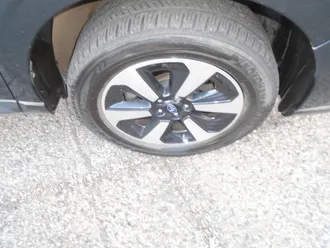 Forester 9