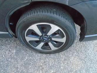 Forester 11