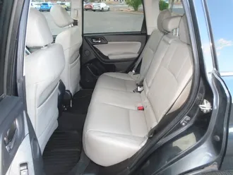 Forester 17