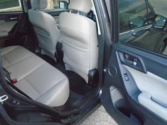 Forester 22