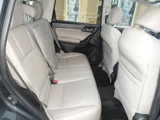 Forester 23