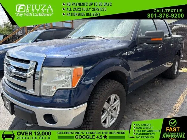 2009 Ford F-150