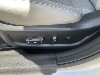 Optima 19