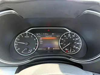 Maxima 26