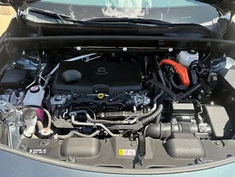 2024 Toyota Venza photo 6