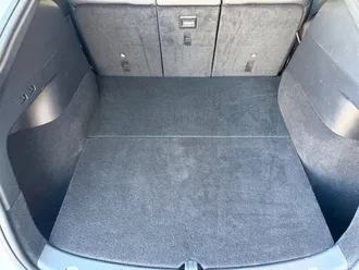 Model Y Performance 4