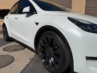Model Y Performance 21