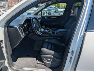 Cayenne 11