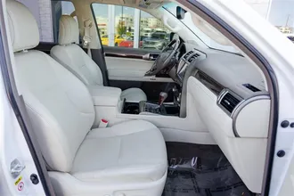 GX 460 29