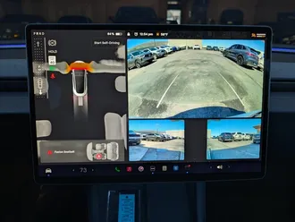 Model 3 Long Range 22