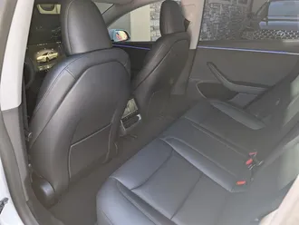 Model 3 Long Range 24
