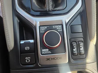 Forester 19