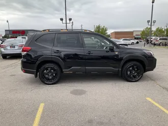 Forester 4