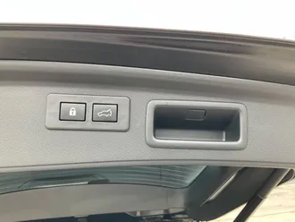 Forester 8