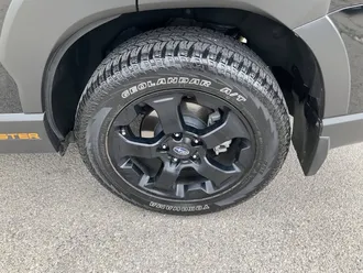 Forester 11