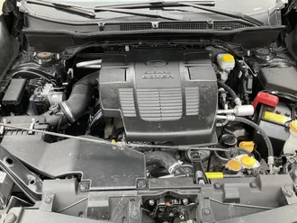 Forester 18