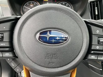 Forester 27