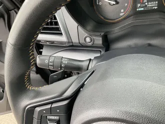Forester 33