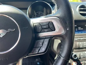 Mustang V6 26