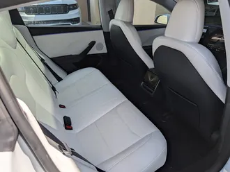 Model 3 Long Range 29