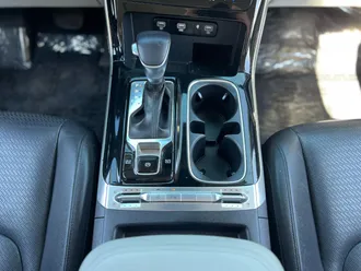 Carnival MPV 20