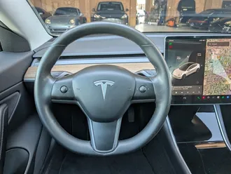 Model 3 Long Range 19