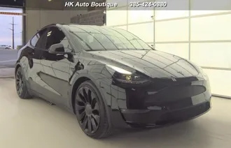 Model Y Performance 1