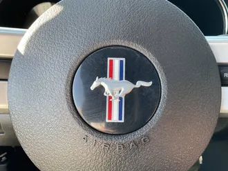 Mustang 19