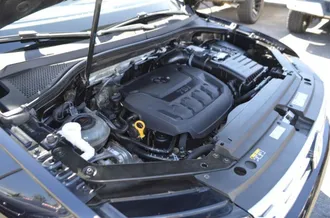 Tiguan 31