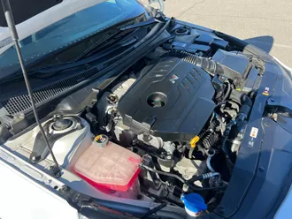 Elantra N 36