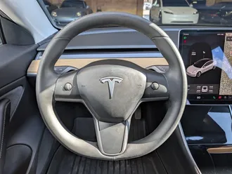 Model 3 Long Range 19