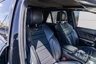 GLE 29