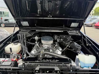 Bronco 33