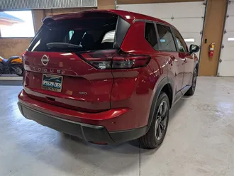 Rogue SV 10