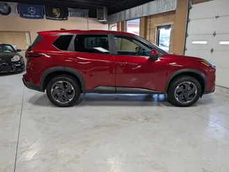 Rogue SV 11