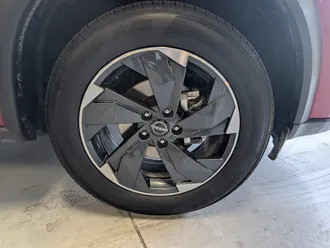 Rogue SV 15
