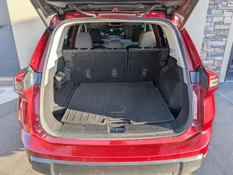 Rogue SV 31