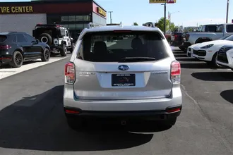 FORESTER 8