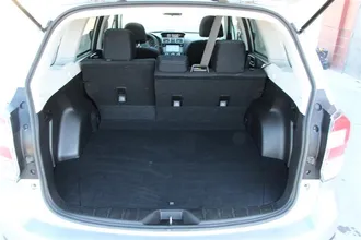 FORESTER 18