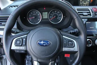 FORESTER 24